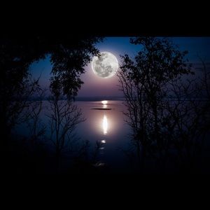 Meet your Posher, Isha